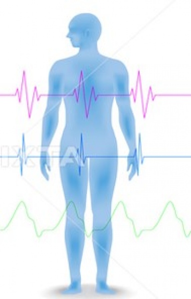 outline of a person with heartbeat & breathing senor lines shown